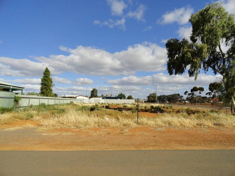 113 SHAW St, Coolgardie WA 6429