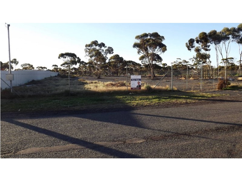 25 Clianthus Rd, Kambalda West WA 6442