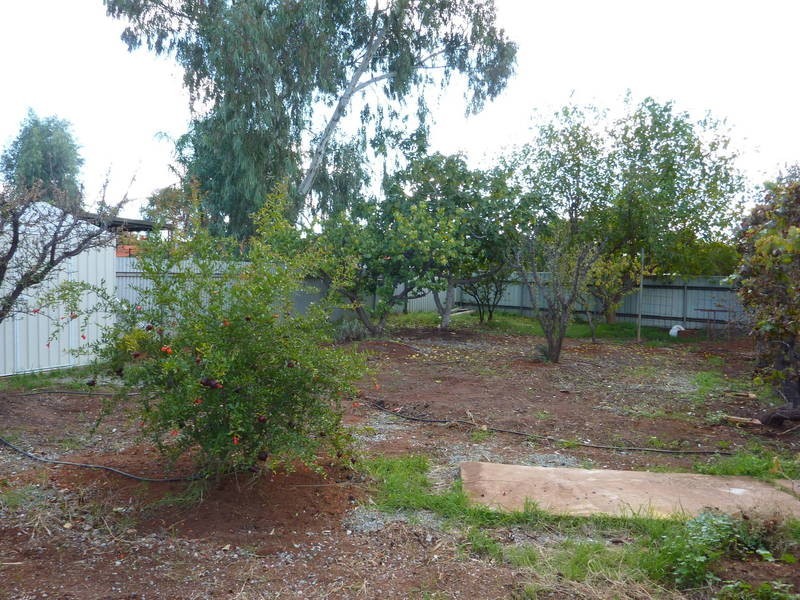 6 Finnerty Lane Hannans, Kalgoorlie WA 6430