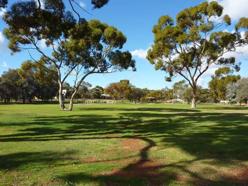 6 Finnerty Lane Hannans, Kalgoorlie WA 6430