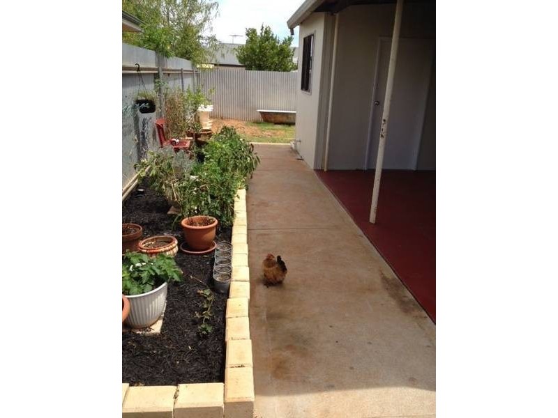 67A Roberts Street, Kalgoorlie WA 6430