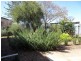 48 Millen Street Boulder, Kalgoorlie WA 6430