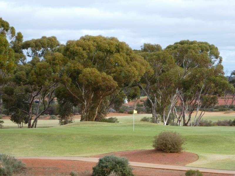 4 Pira Avenue, Karlkurla WA 6430