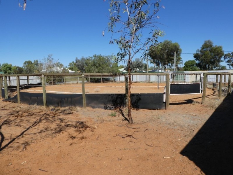 242 Dugan St Somerville, Kalgoorlie WA 6430