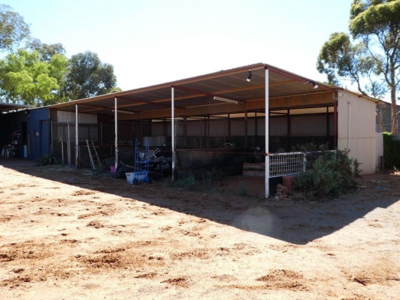 242 Dugan St Somerville, Kalgoorlie WA 6430