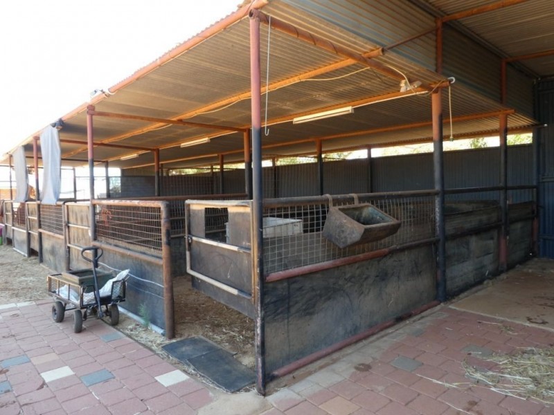 242 Dugan St Somerville, Kalgoorlie WA 6430