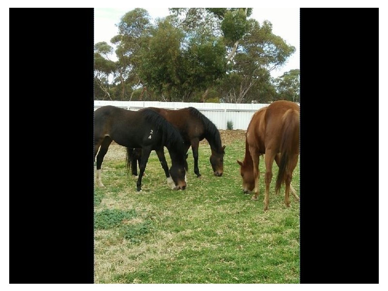 77-79 Wortley Street, Somerville WA 6430