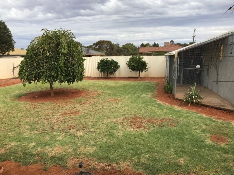 20 Starlight Place, South Kalgoorlie WA 6430