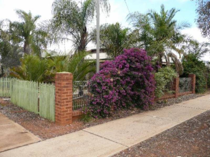 88 Killarney Street, Hannans WA 6430