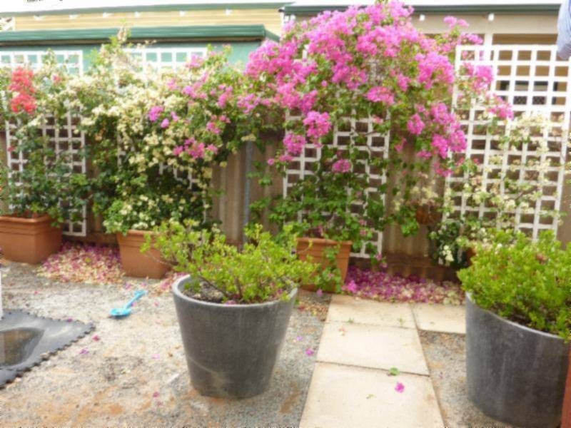 68 Addis Street, Lamington WA 6430