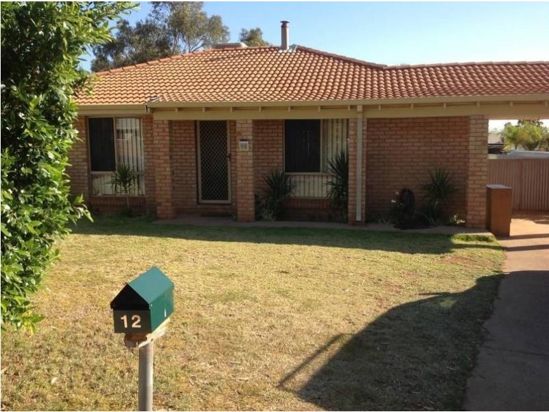 12 Cotter Place, Hannans, Kalgoorlie WA 6430