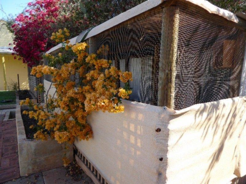 38 Hinemoa Street, Kalgoorlie WA 6430