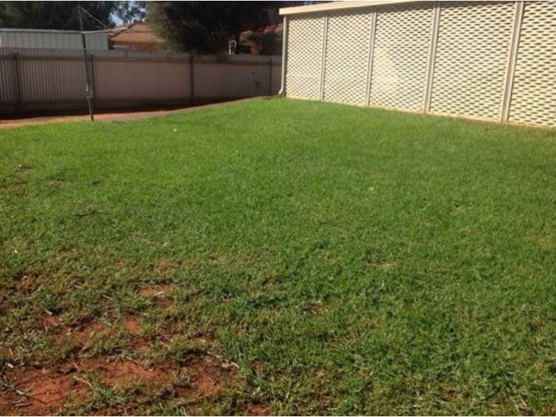 135 Graeme Street, Hannans, Kalgoorlie WA 6430