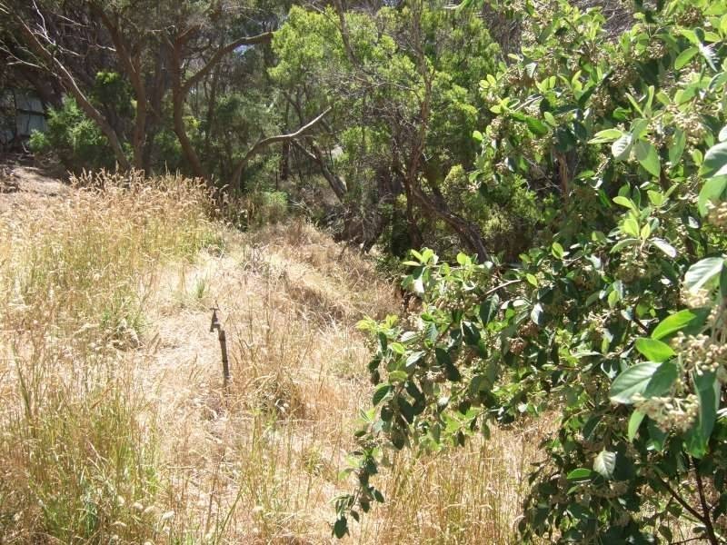 Blairgowrie VIC 3942