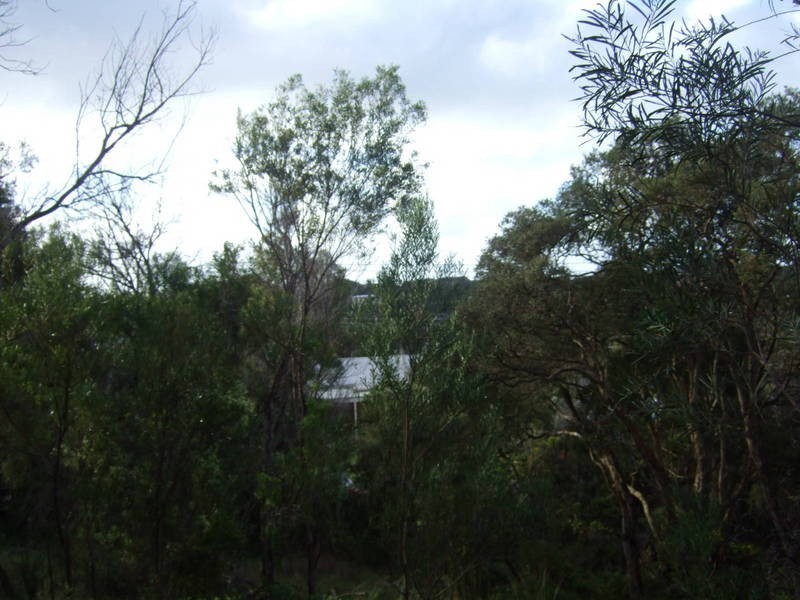 59 Curran Way, Tootgarook VIC 3941