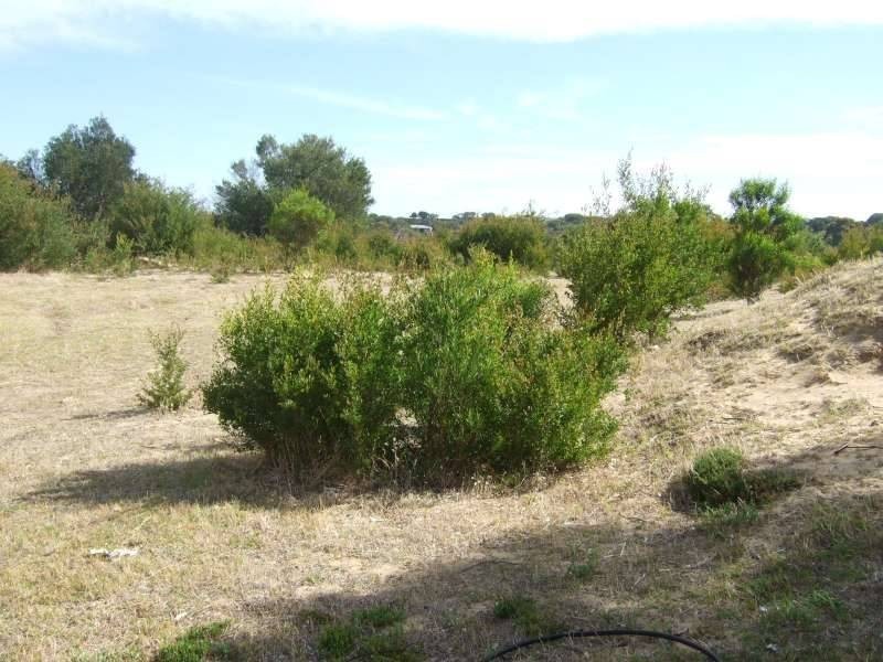 131 Highbury Road, Tootgarook VIC 3941