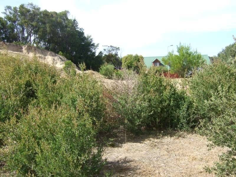 131 Highbury Road, Tootgarook VIC 3941