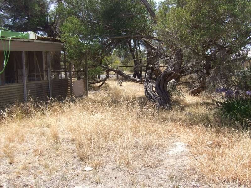 Rosebud West VIC 3940