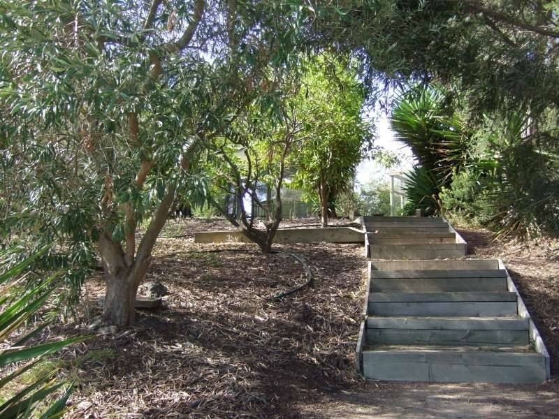 24 Crestview Court, Rye VIC 3941