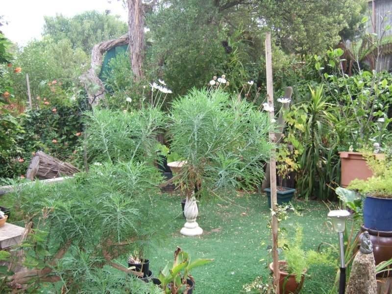 38 Wondaree Street, Rye VIC 3941