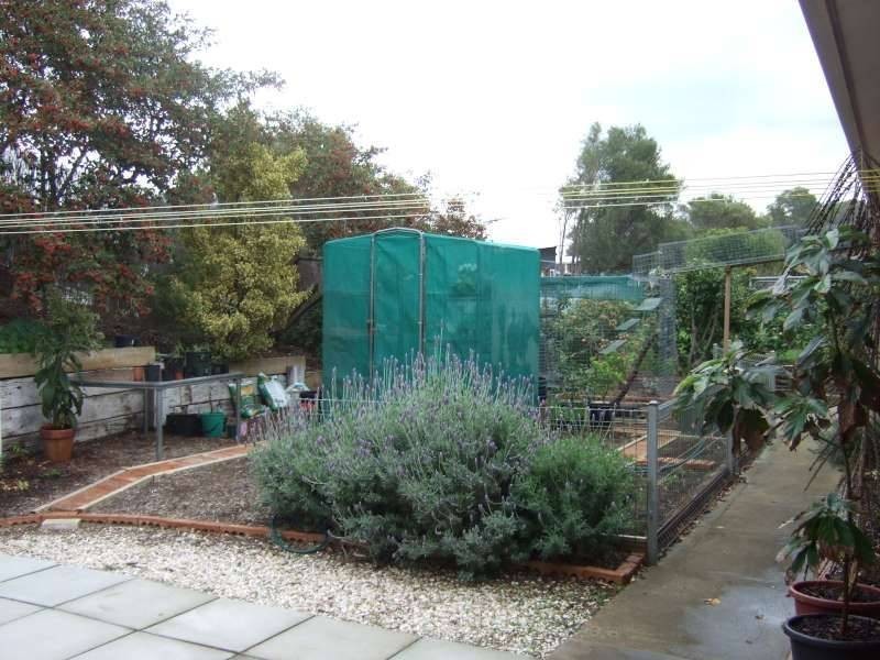 43 Kuringai Road, Tootgarook VIC 3941