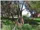 77 Kareela Drive, Tootgarook VIC 3941