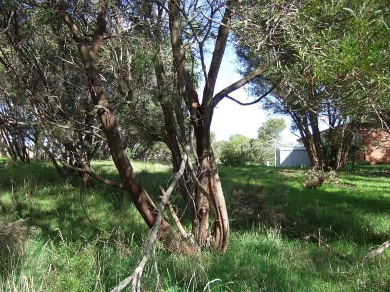 77 Kareela Drive, Tootgarook VIC 3941