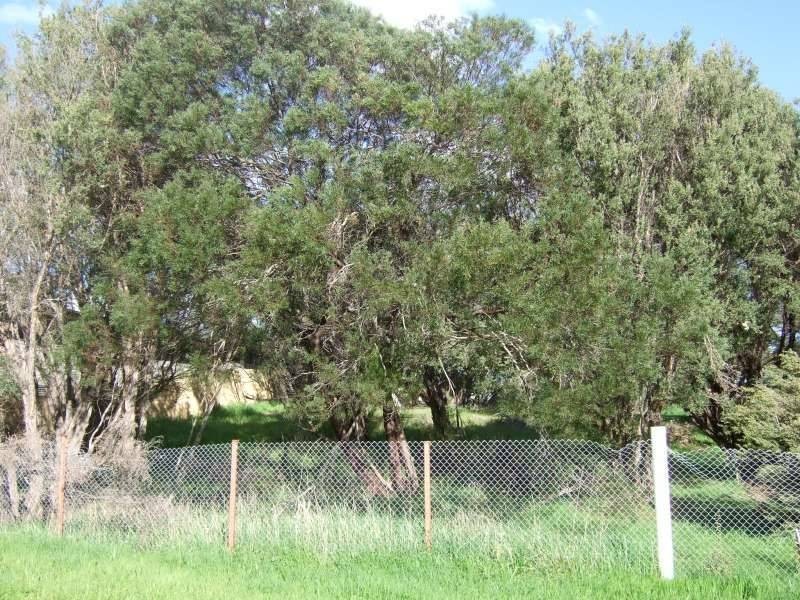 77 Kareela Drive, Tootgarook VIC 3941