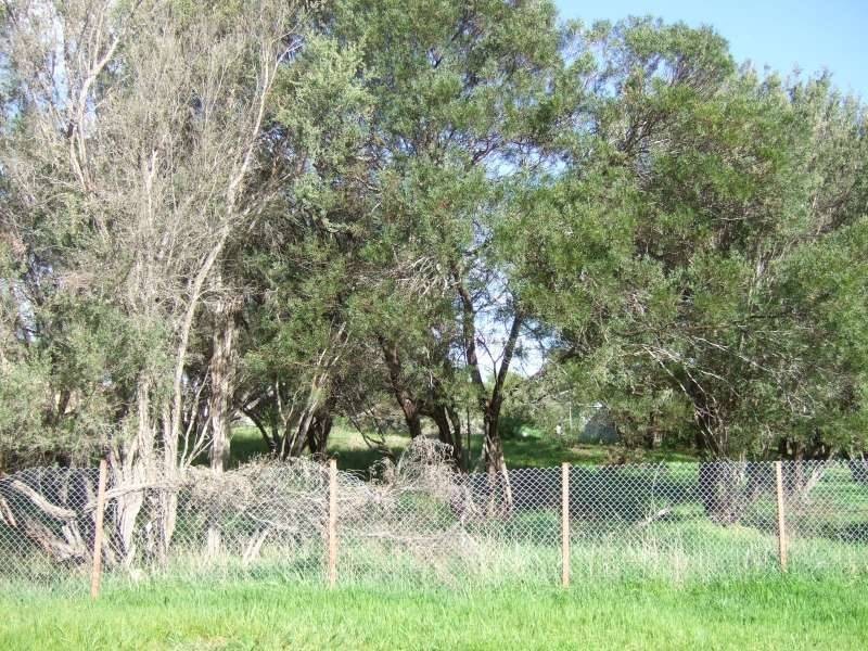 77 Kareela Drive, Tootgarook VIC 3941