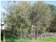 77 Kareela Drive, Tootgarook VIC 3941