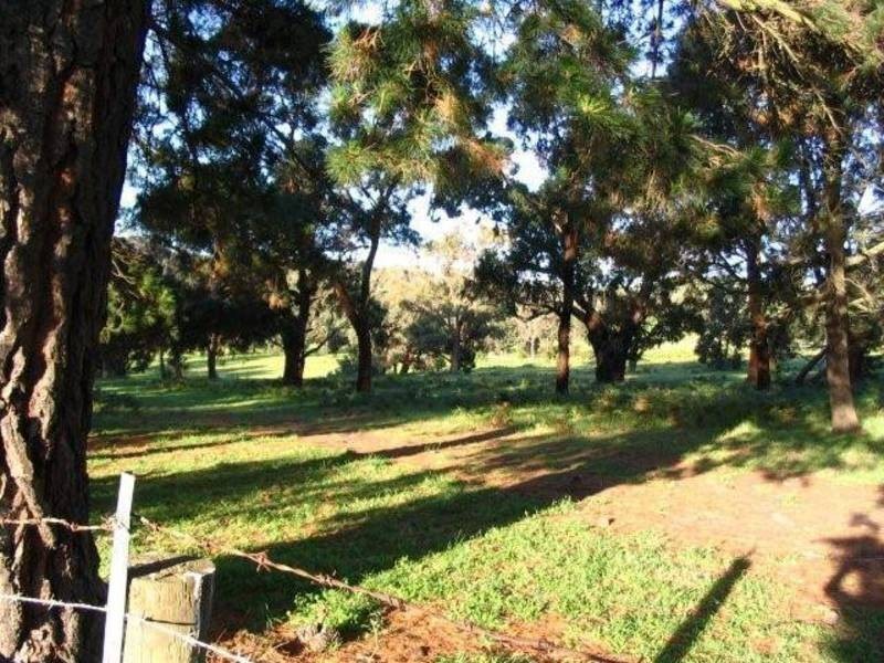 65 Carrathool Avenue, Rosebud VIC 3939