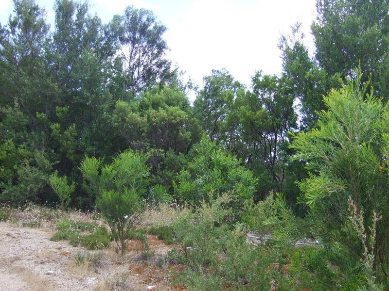 101 Highbury Road, Tootgarook VIC 3941