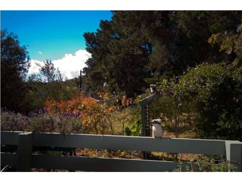 65 Carrathool Avenue, Rosebud VIC 3939