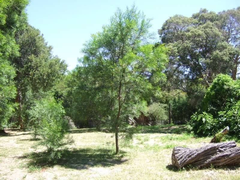 24 Blairgowrie Avenue, Blairgowrie VIC 3942