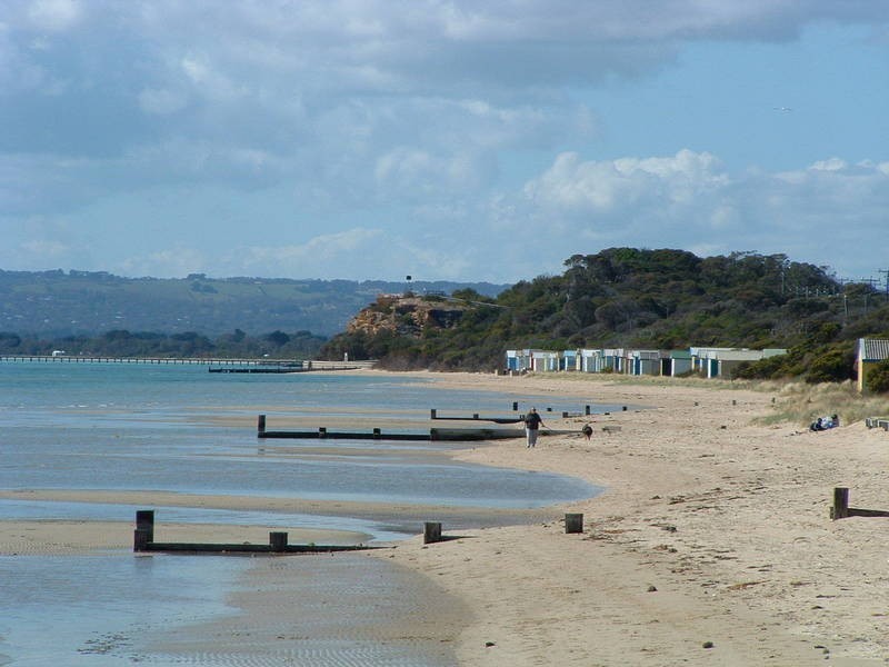 24 Blairgowrie Avenue, Blairgowrie VIC 3942