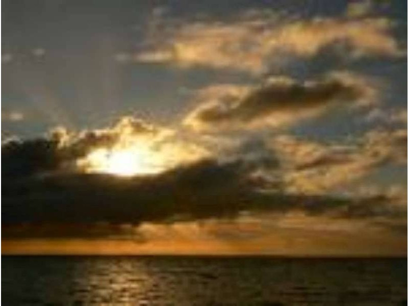 Lot 415,  The Ridge Road, Fingal VIC 3939