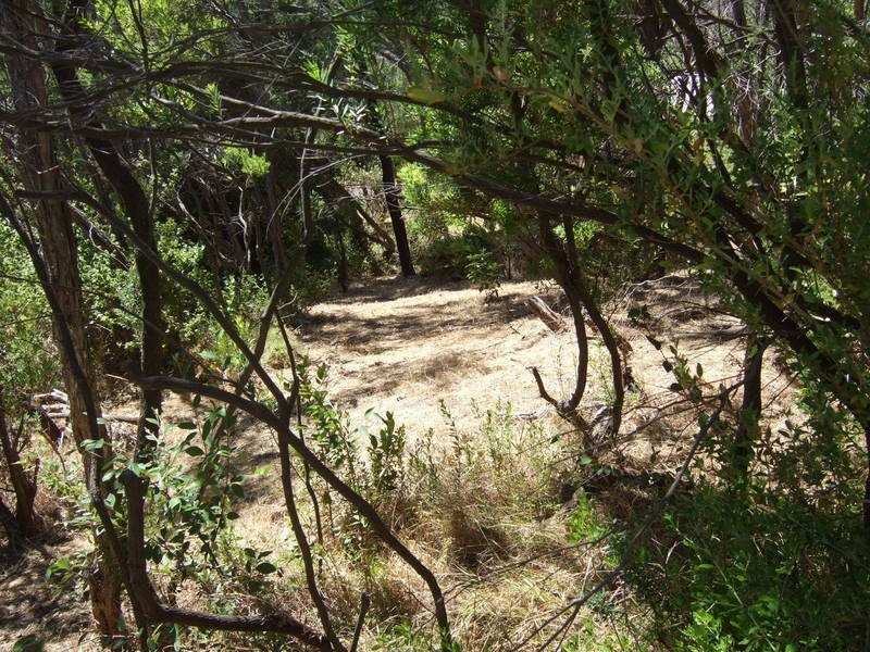 71 Kareela Drive, Tootgarook VIC 3941