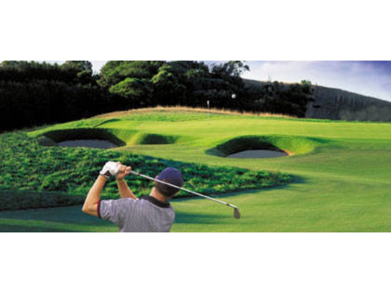 71 Kareela Drive, Tootgarook VIC 3941