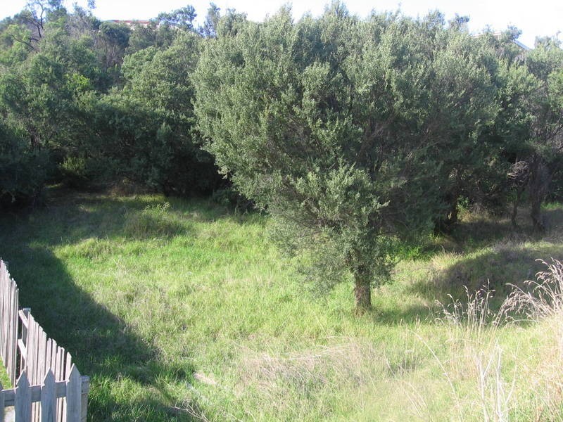 87 Marshall Street, Tootgarook VIC 3941