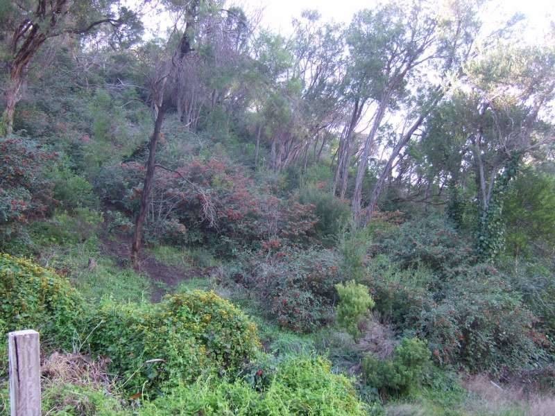 14 Glen Drive, Rye VIC 3941