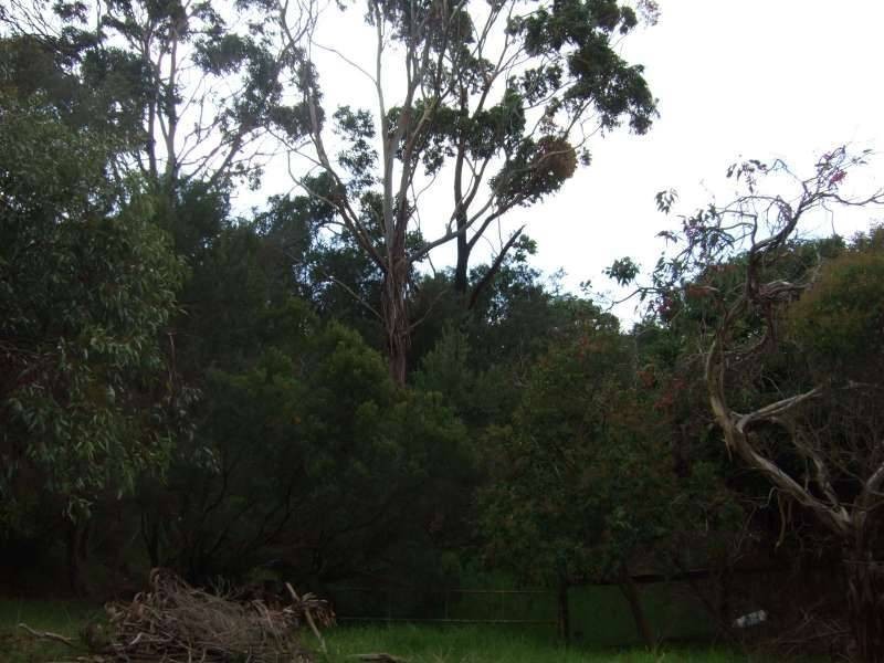 40 Bella Vista Drive, Tootgarook VIC 3941