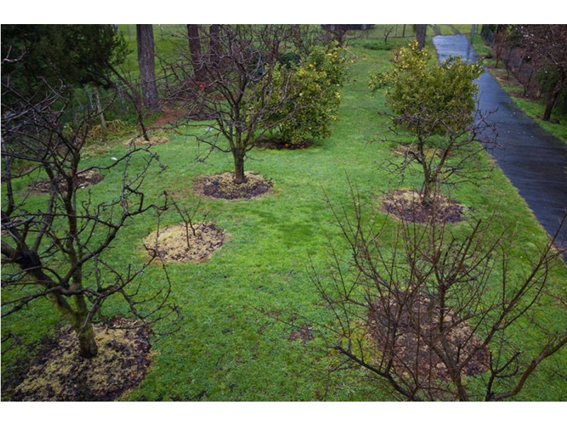 34 Panorama Dr, Tootgarook VIC 3941