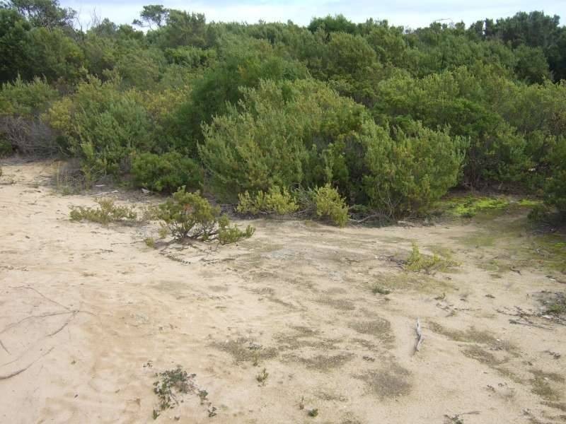 11A Tiberius Road, St Andrews Beach VIC 3941