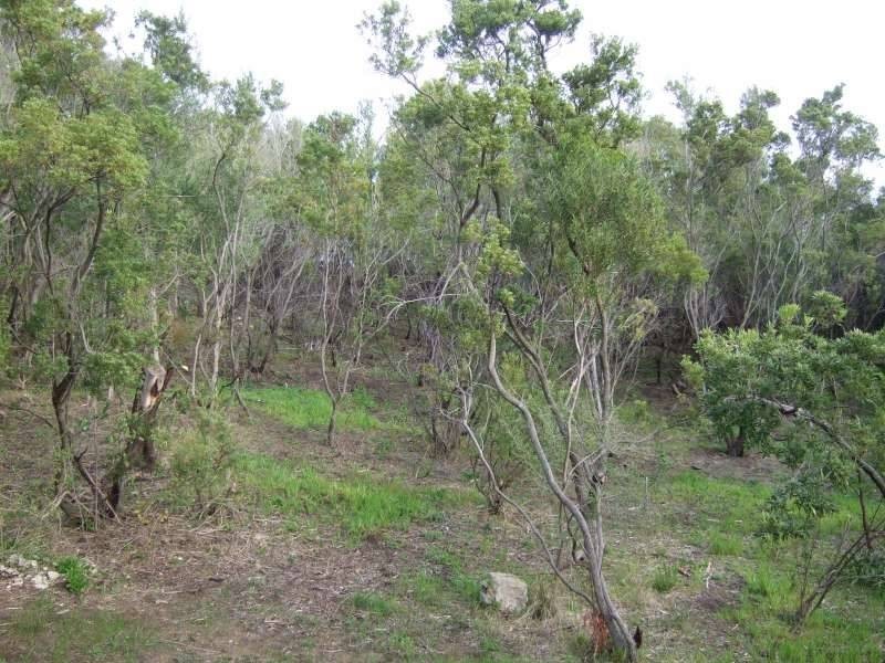 43 Bella Vista Drive, Tootgarook VIC 3941