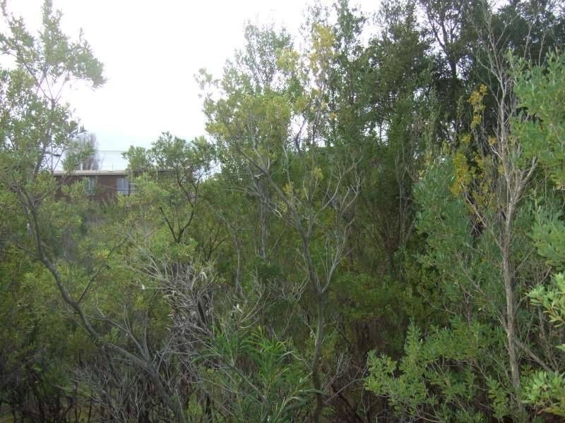 43 Bella Vista Drive, Tootgarook VIC 3941