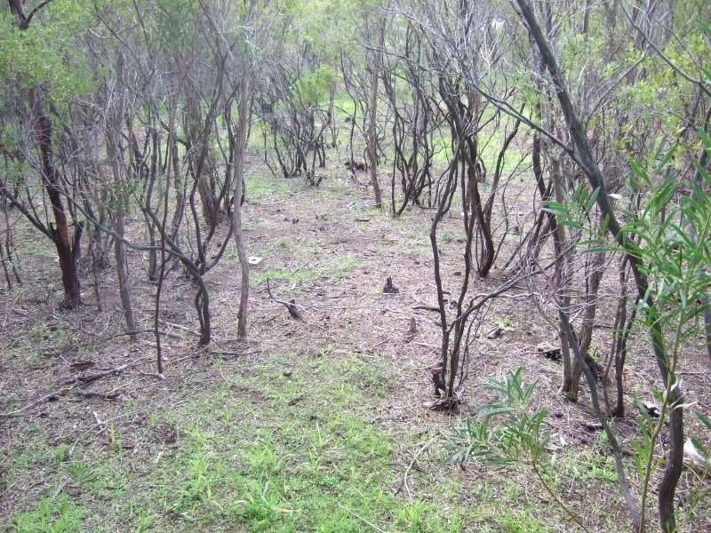 43 Bella Vista Drive, Tootgarook VIC 3941