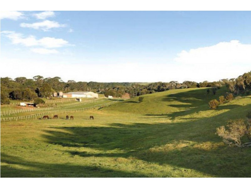 754 Boneo Road, Boneo VIC 3939