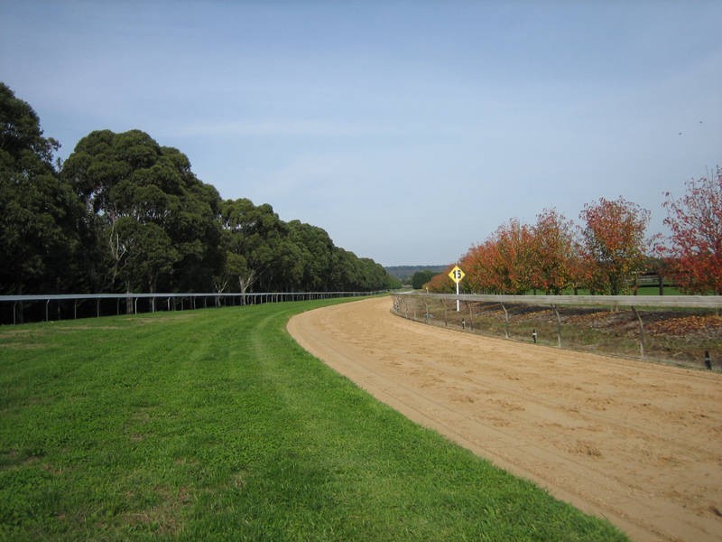 355 Balnarring Road, Merricks North VIC 3926