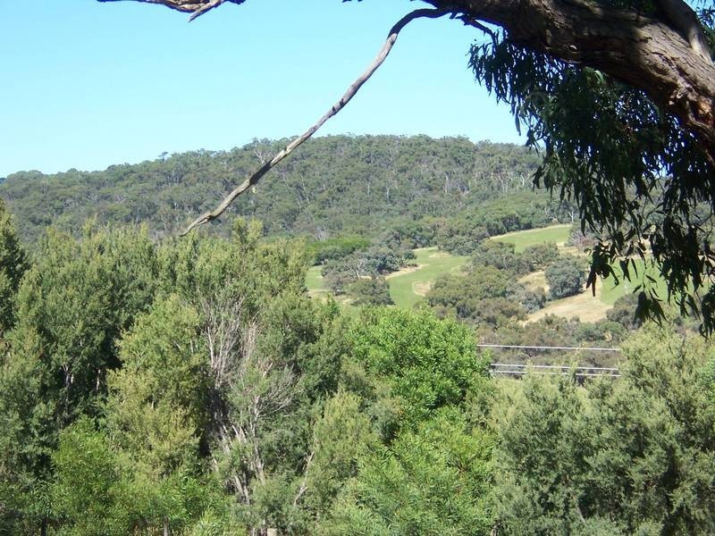 32 Luton Avenue, Red Hill VIC 3937