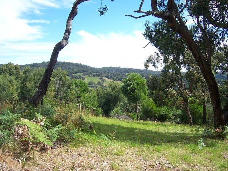 32 Luton Avenue, Red Hill VIC 3937